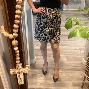 Ann Taylor skirt